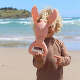 Sand Claws Lobster Coral