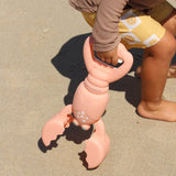 Sand Claws Lobster Coral