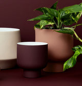 Rust Fergus Planter - Medium