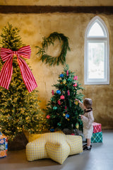Christmas Mini's | 1.11.26
