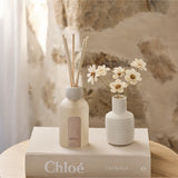 REED DIFFUSER - APRICOT & SWEET FIG