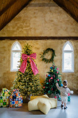 Christmas Mini's | 1.11.26