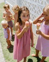 Zulu Dress | Berry Stripe