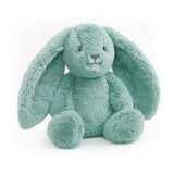 Banjo Bunny Soft Toy