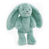 Banjo Bunny Soft Toy