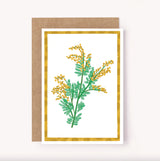 Wattle Australian Wildflower Card