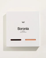 Boronia Hand Duo | Large