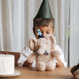 Harold Party Elephant