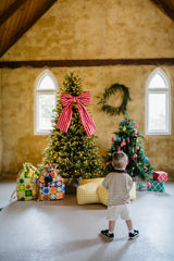 Christmas Mini's | 1.11.26