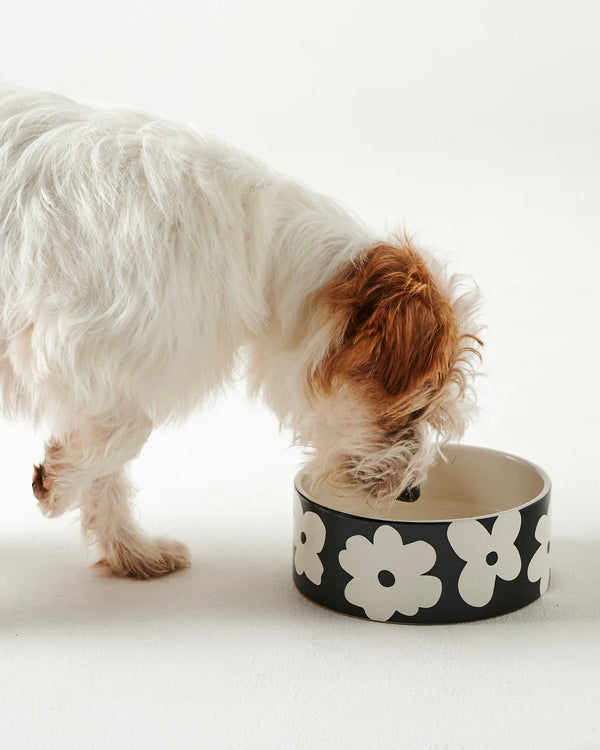 Flower Face Dog Bowl One Size