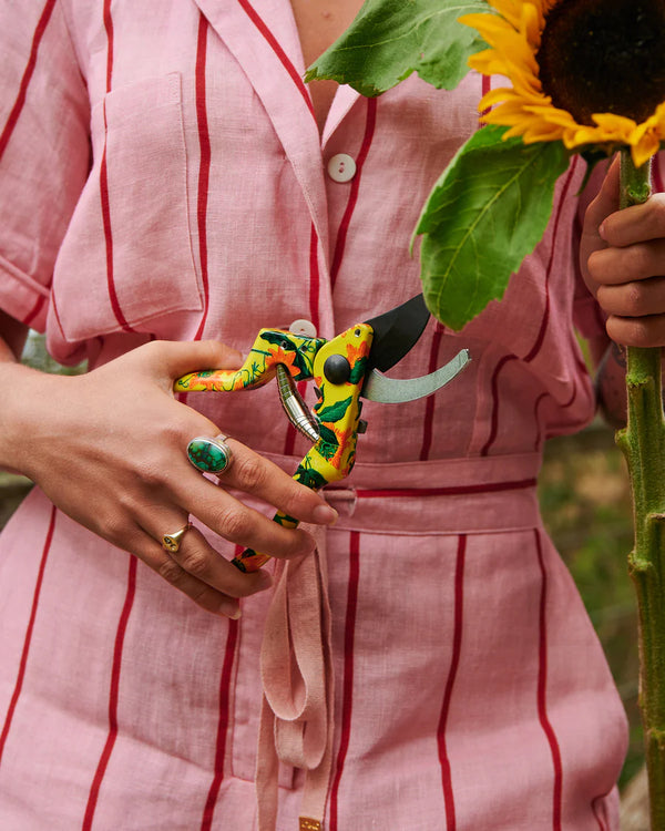 Passiona Garden Secateurs and Gloves Set