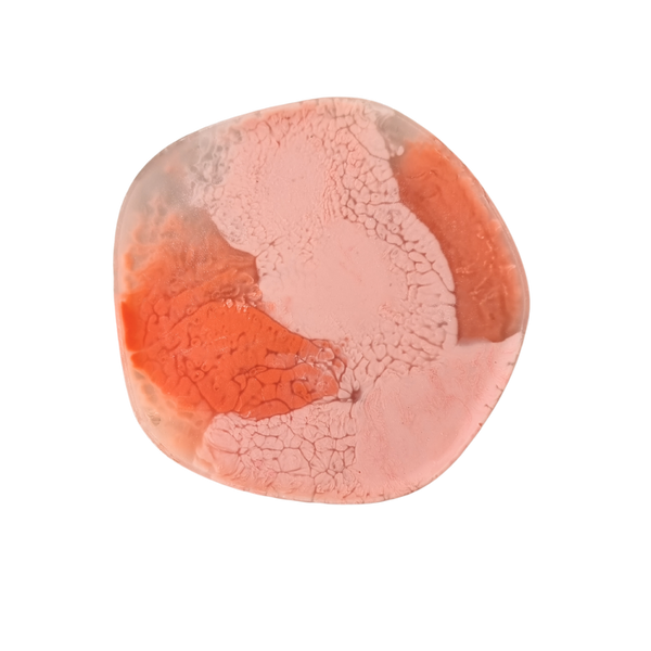 Iggy Plate - Coral