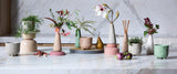 Botanical Diffuser