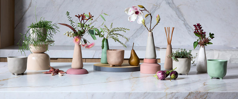 Botanical Diffuser