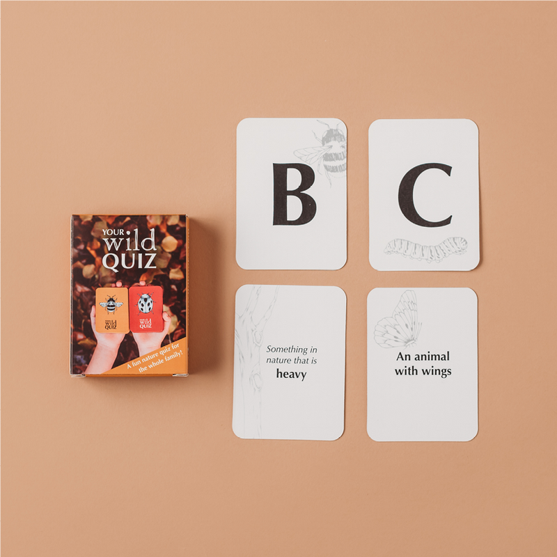 Your Wild Quiz card game Fetch