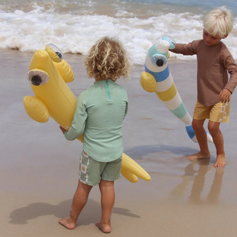 Kids Inflatable Noodle Finn the Fish Multi Set of 2