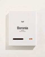 Boronia Hand Duo | Small