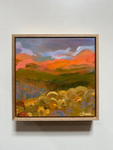 Sunset Fields