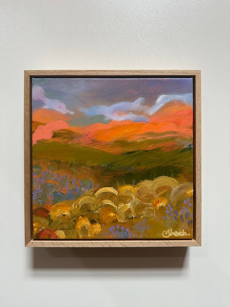 Sunset Fields