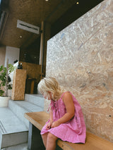 Zulu Dress | Berry Stripe