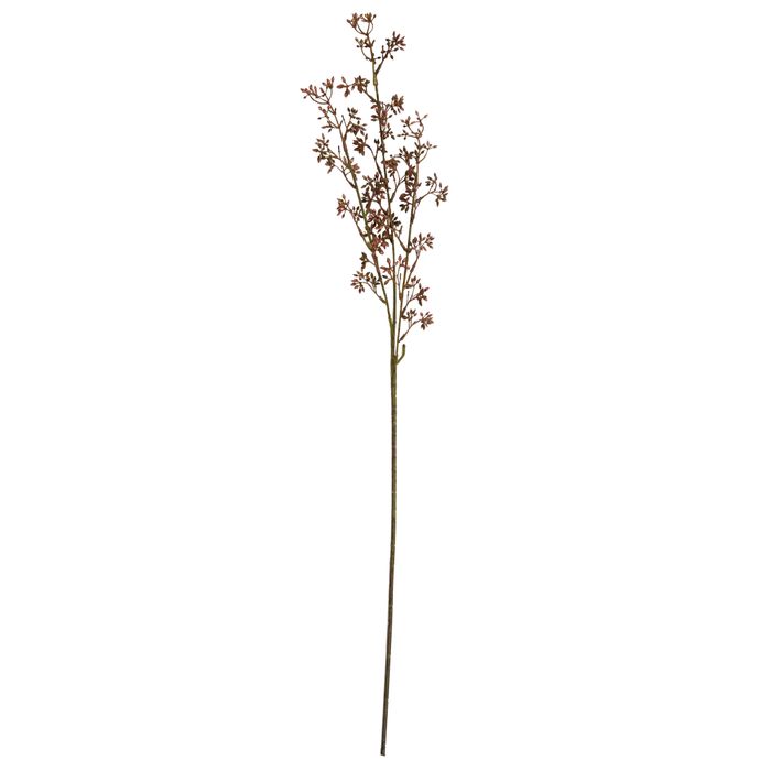 Berry Blosson Stem - Rust