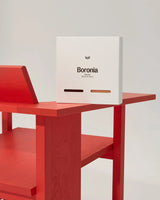 Boronia Hand Duo | Large