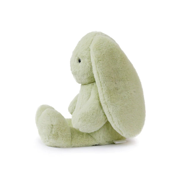 Clover Cottontail Bunny