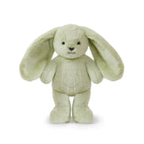Clover Cottontail Bunny