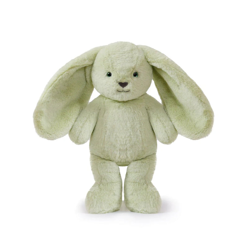 Clover Cottontail Bunny