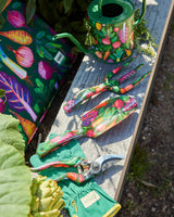 Veggie Soup Garden Tools and Gloves Set
