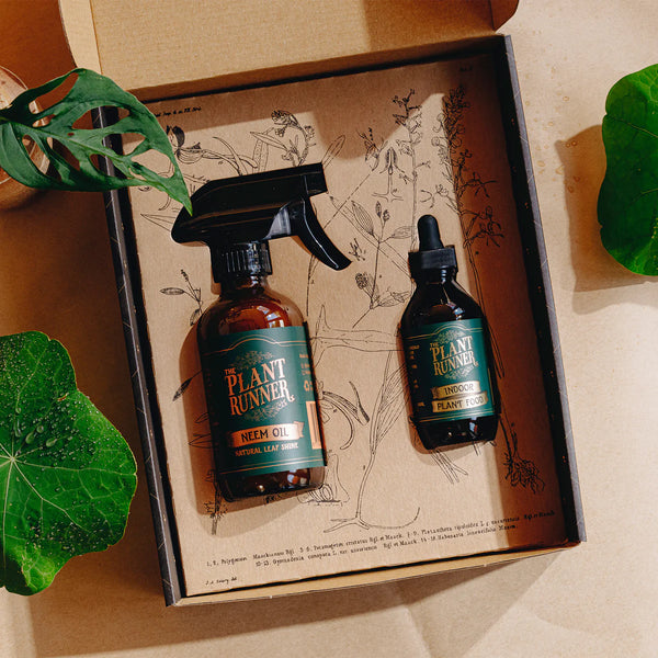 Plant Care Essentials Kit